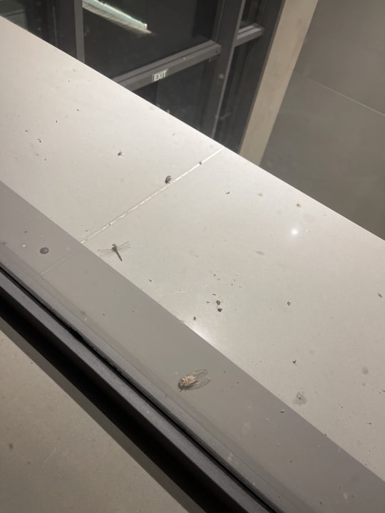 Sonstiges Avra Imperial Hotel