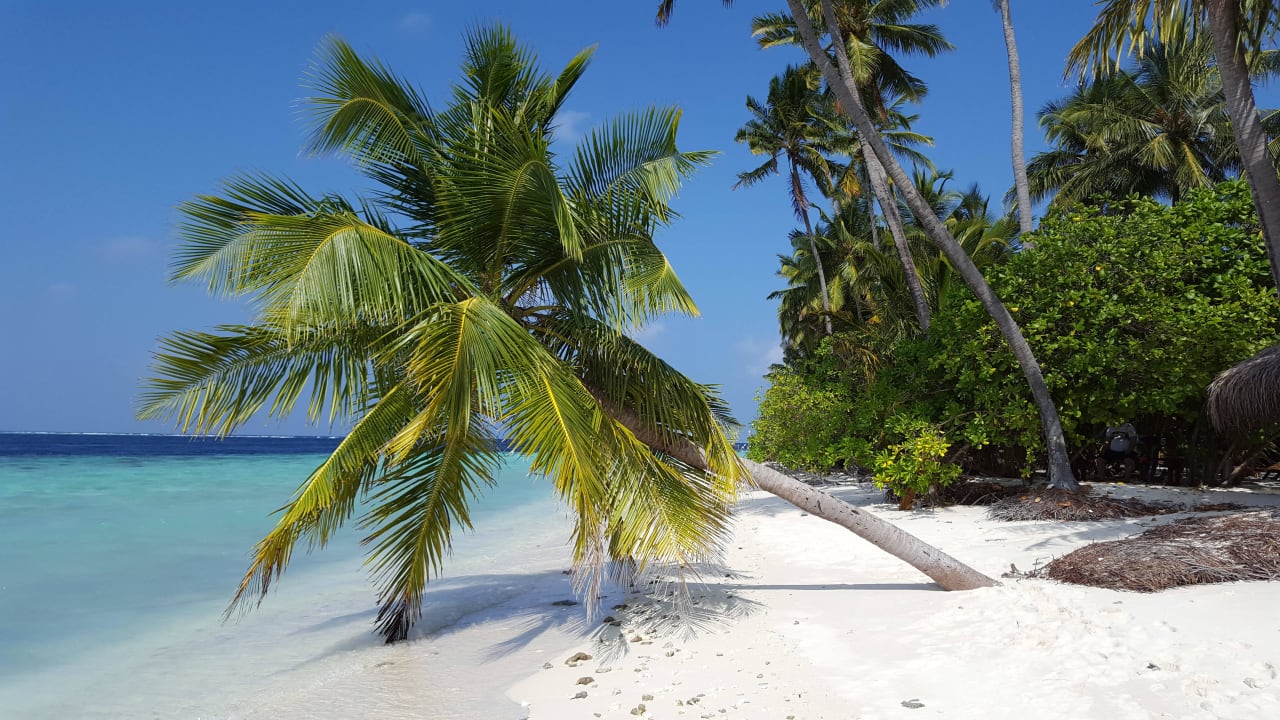 Kalender Motiv Filitheyo Island Resort