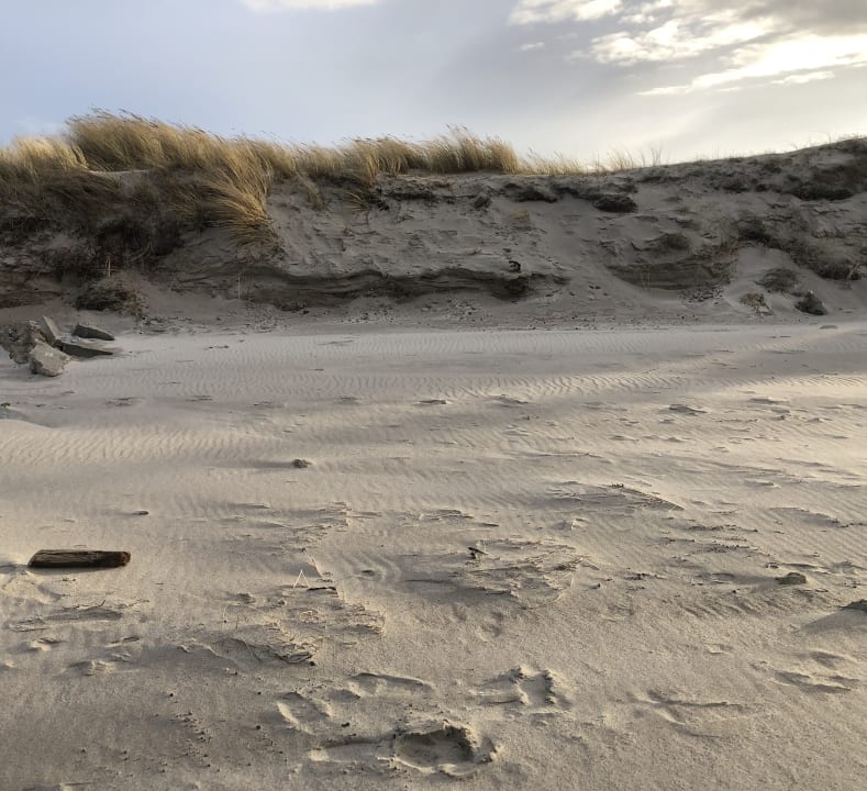 Strand Bretterbude Heiligenhafen
