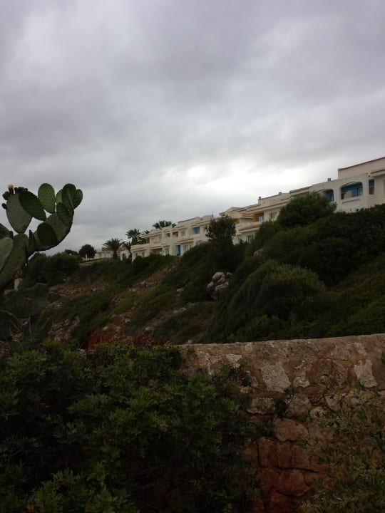 Schön angeordnete Zimmer  blau punta reina