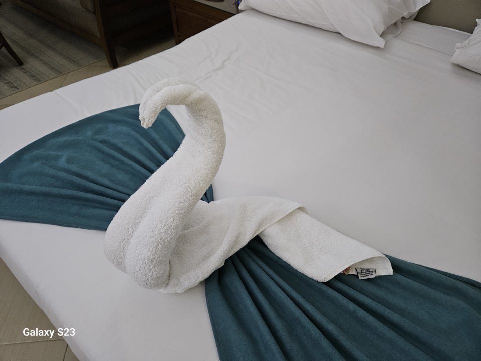 Zimmer Jaz Soma Beach