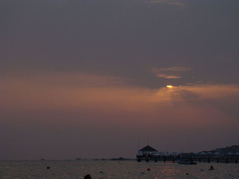 Joy pegasos world AQI Pegasos World