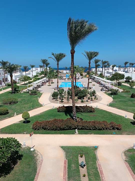 Gartenanlage JAZ Neo Reef Marsa