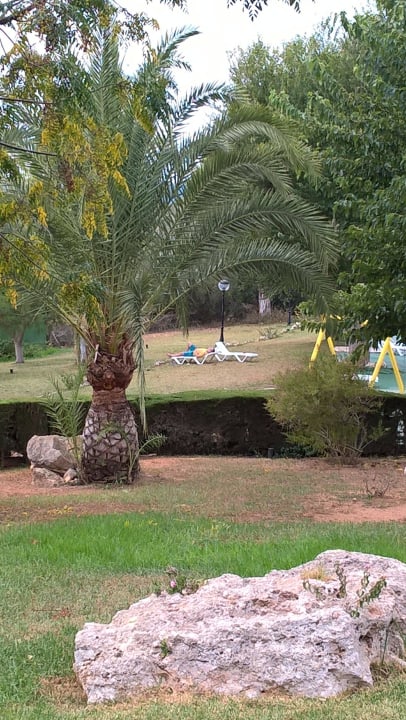 Wiese zum ausruhen.  Hotel Club Cala Romani