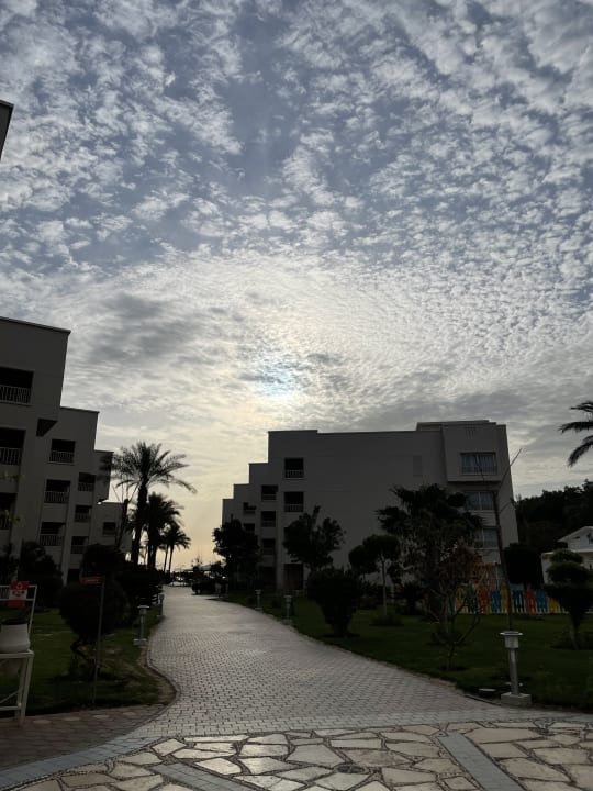 Gartenanlage Jaz Soma Beach