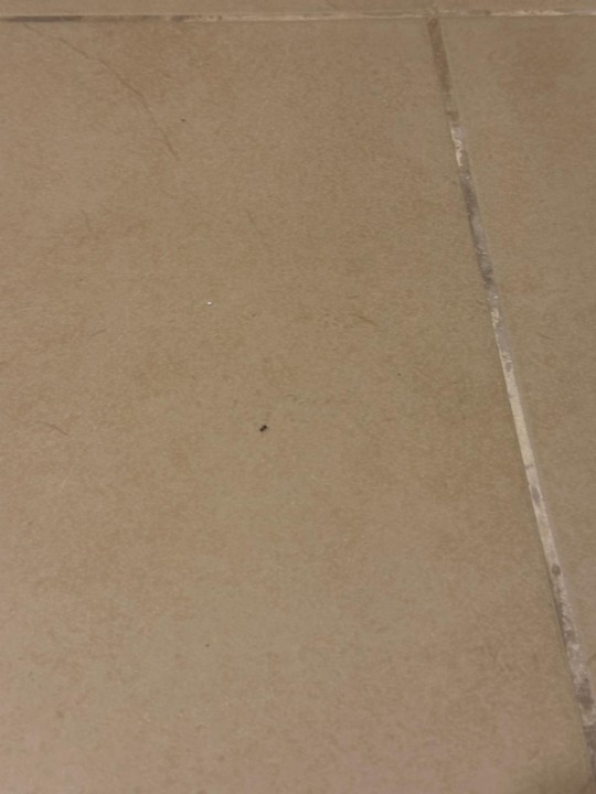 Zimmer Ephesia Holiday Beach Club