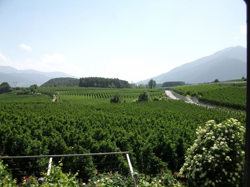 Ausblick Hotel Jonathan