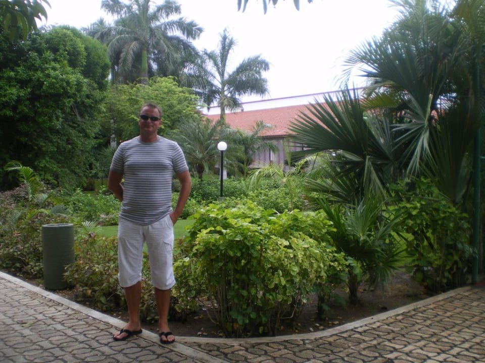 Ogród Hotel Riu Yucatan