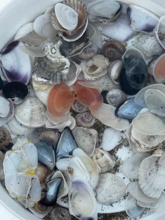 Strand Villaggio Turistico Rosapineta Sud