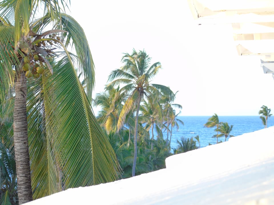 Ausblick Hotel Riu Palace Macao - Adults only