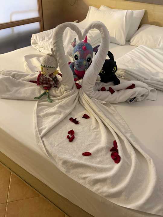 Zimmer AQI Pegasos Club