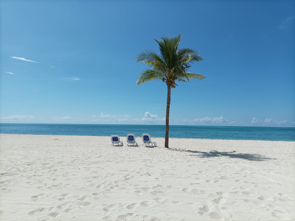 Strand Viva Fortuna Beach by Wyndham - All Inclusive Resort