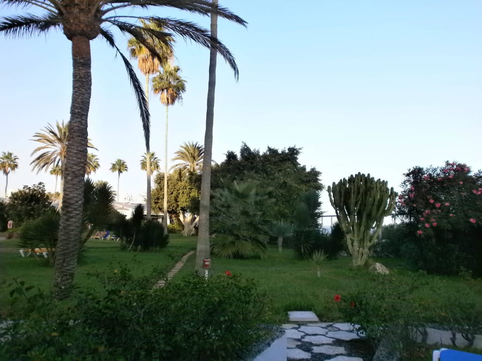 Garten Sahara Beach Club