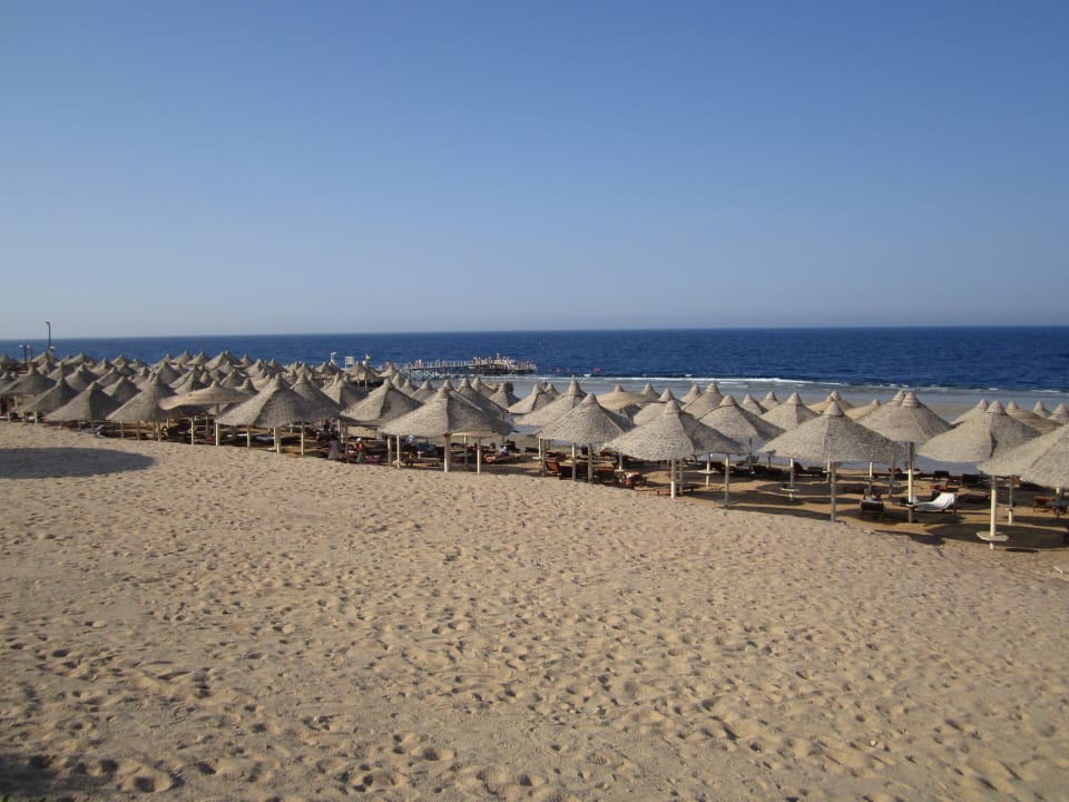 Génial ! Serenity Alma Heights