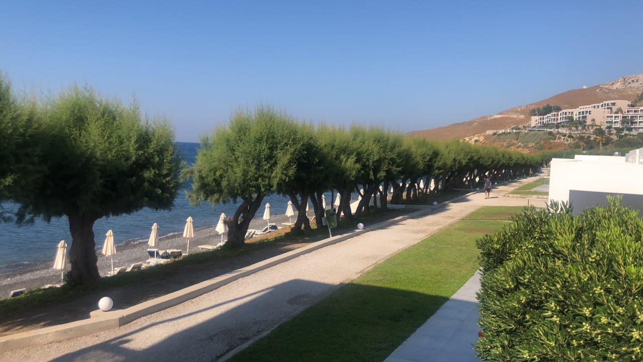 Ausblick Dimitra Beach Hotel & Suites