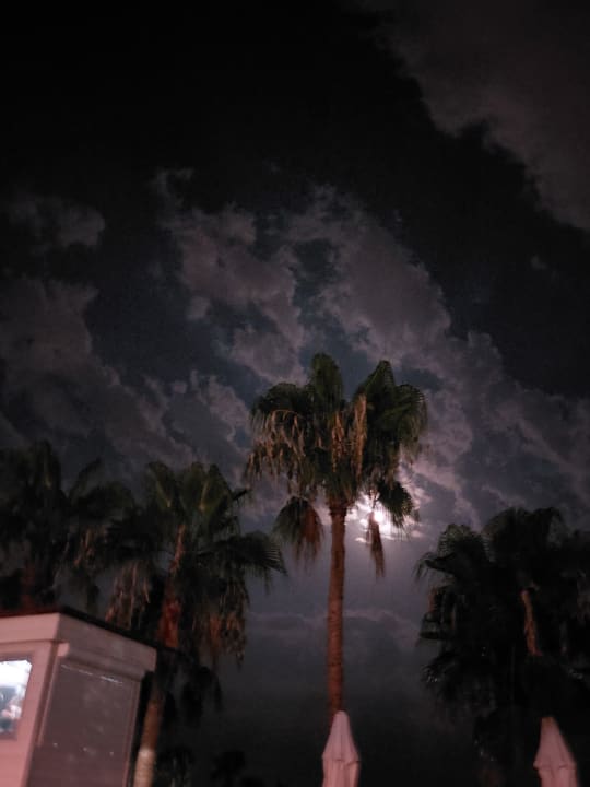 Ausblick Seher Kumköy Star Resort & Spa