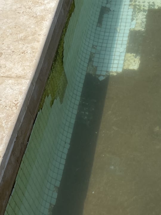 Außenansicht Makadi Spa - Adults only