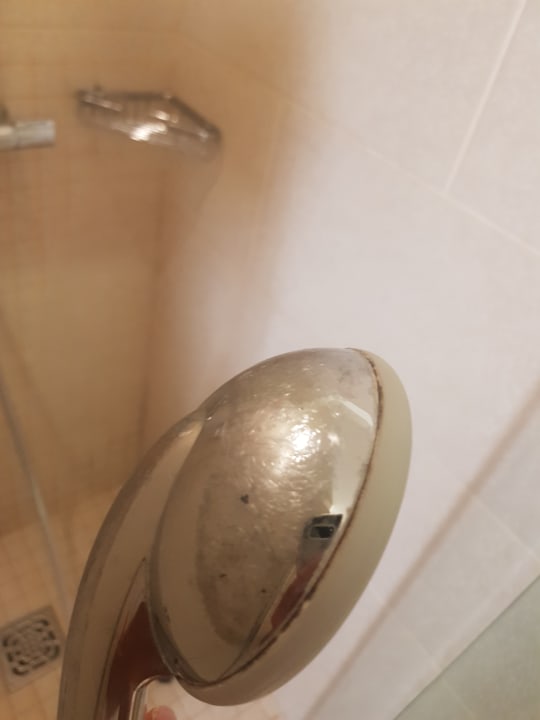 Zimmer Atlantica Plimmiri