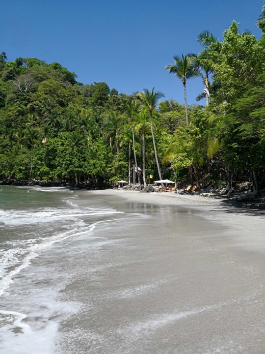 Strand Tulemar Resort