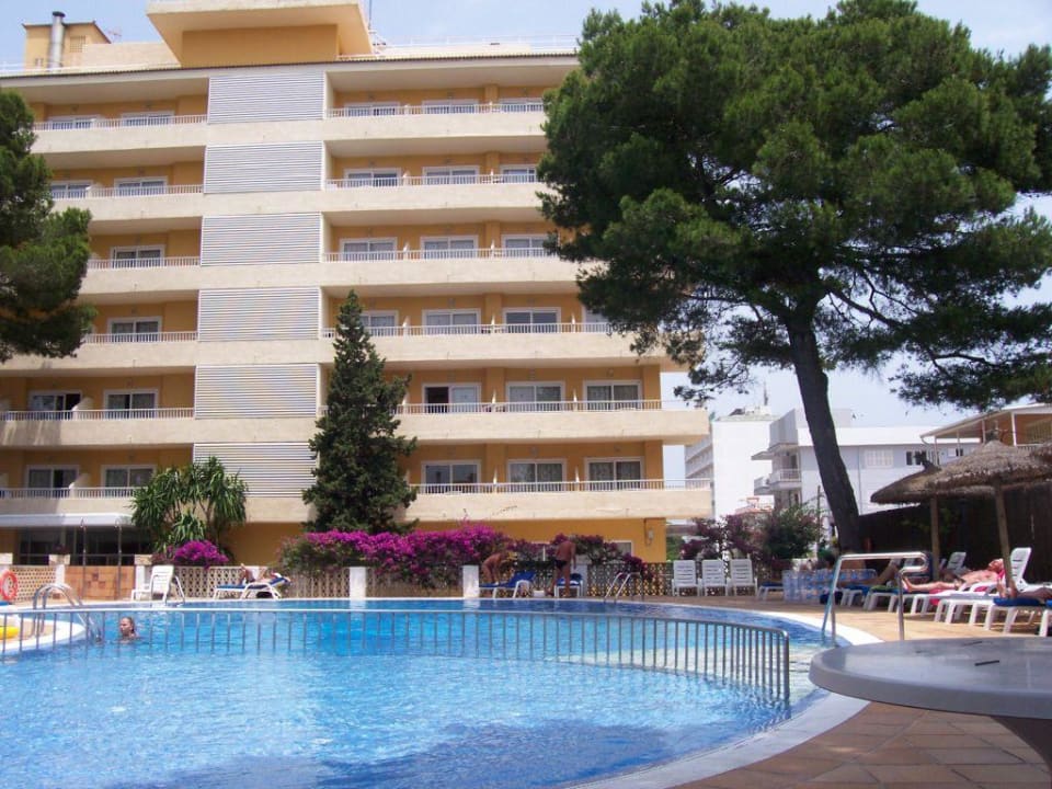 Am Pool Grupotel Montecarlo