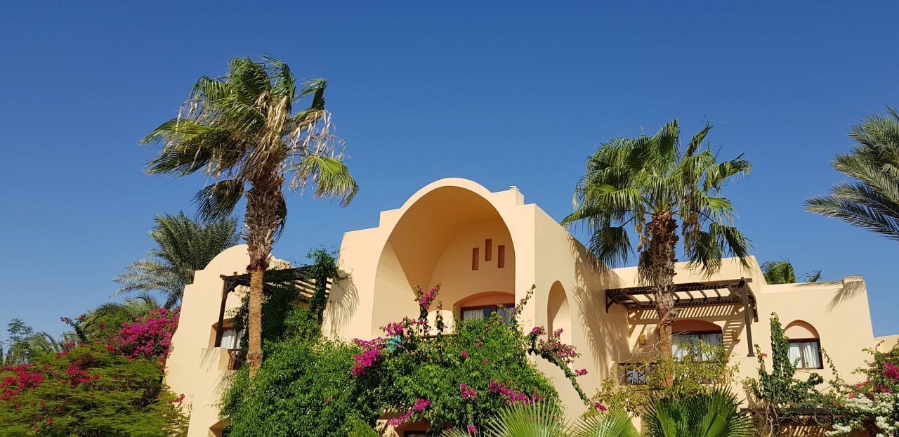 Gartenanlage Steigenberger Coraya Beach - Adults only