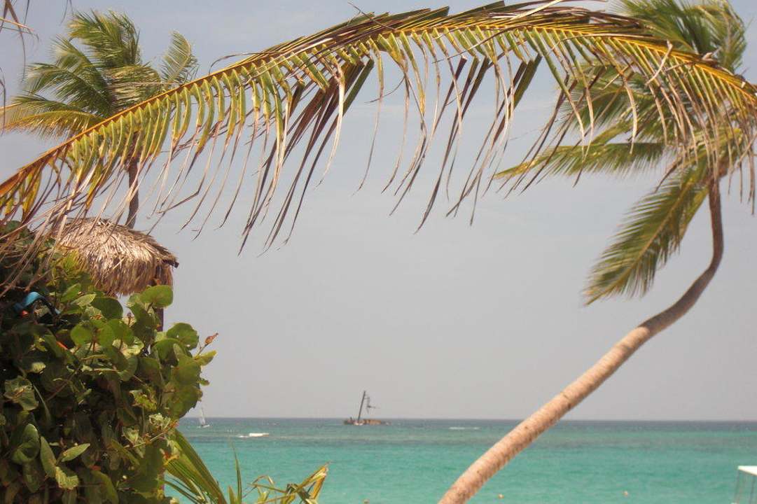 Traumkulisse Hotel Riu Palace Bavaro