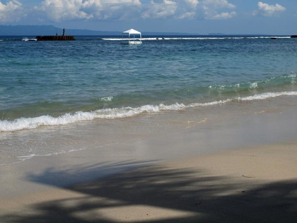Schattenspiele einer Palme Anom Beach Hotel