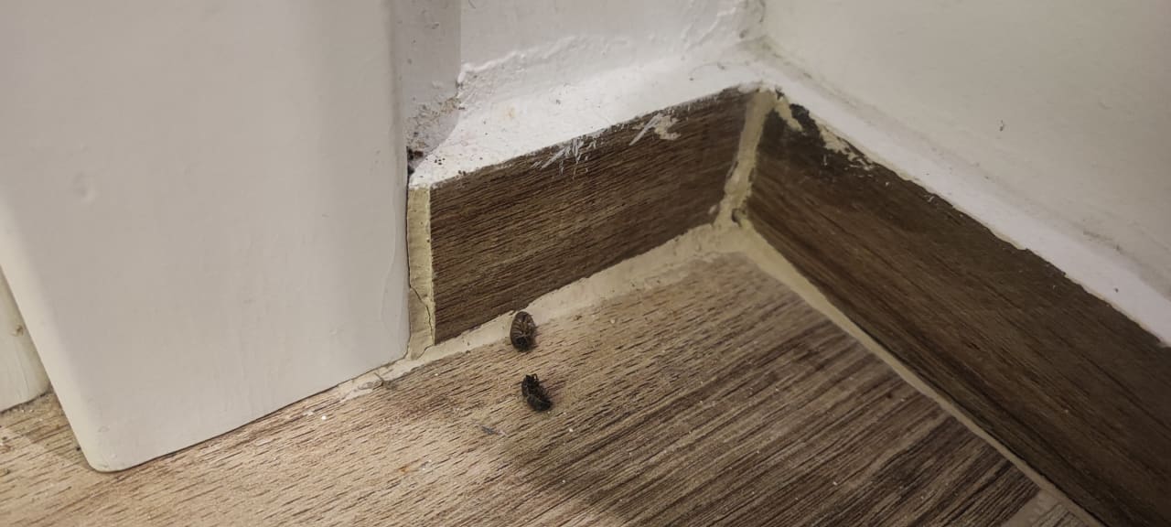 Zimmer Fodele Beach & Water Park Holiday Resort