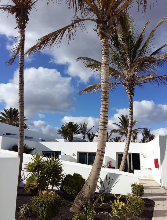 Gartenanlage Hotel Las Costas