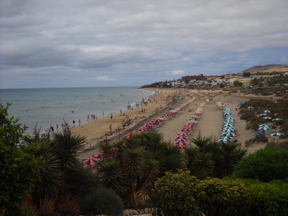 Plaża tuż przy hotelu SBH Hotel Taro Beach