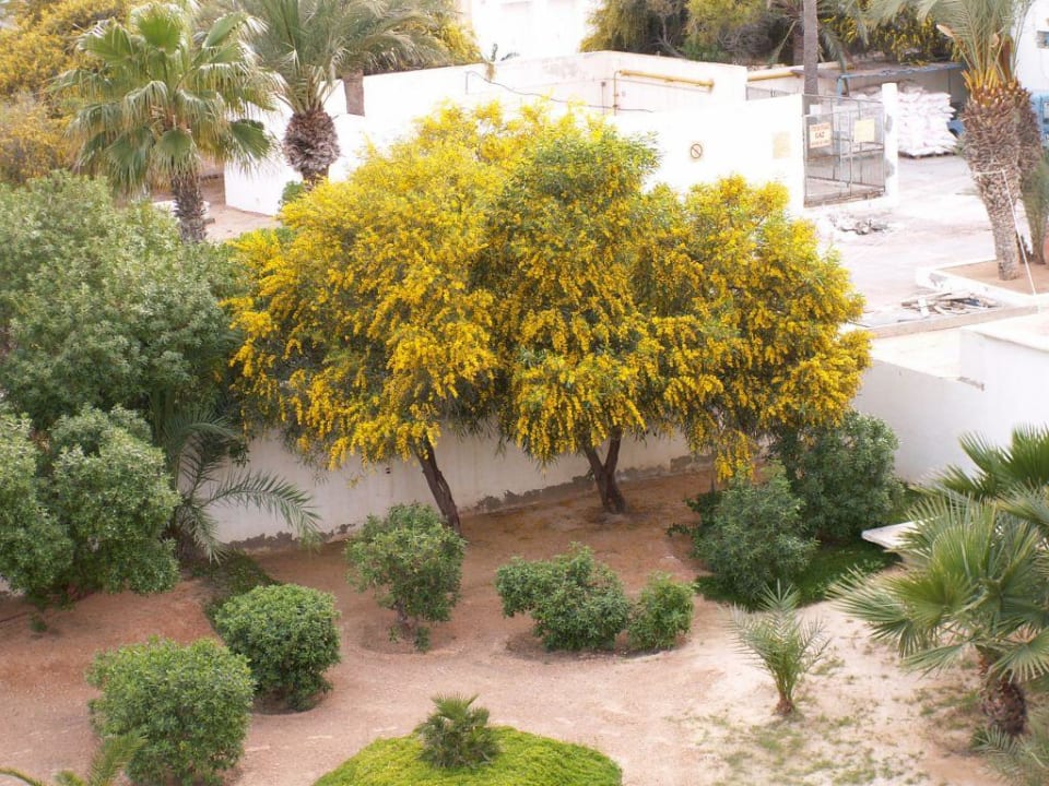 Gartenblick Calimera Yati Beach