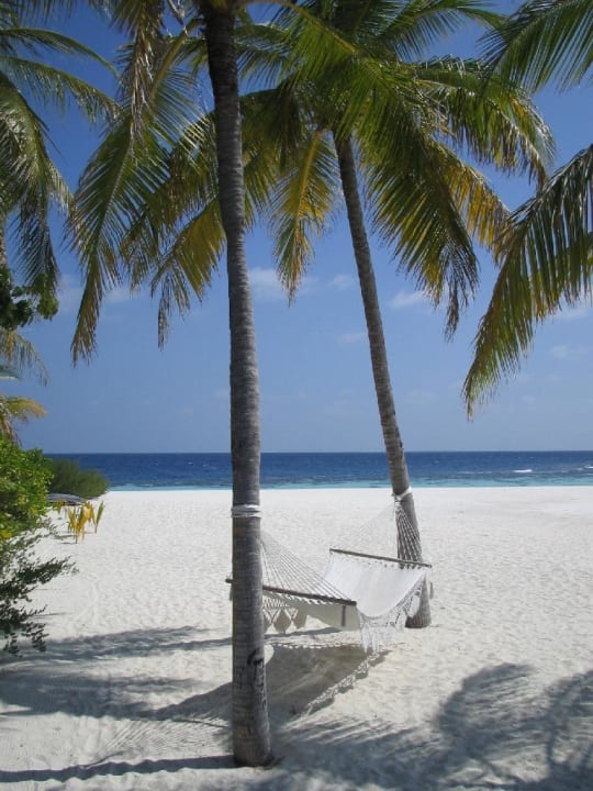 Hängematte Mirihi Island Resort