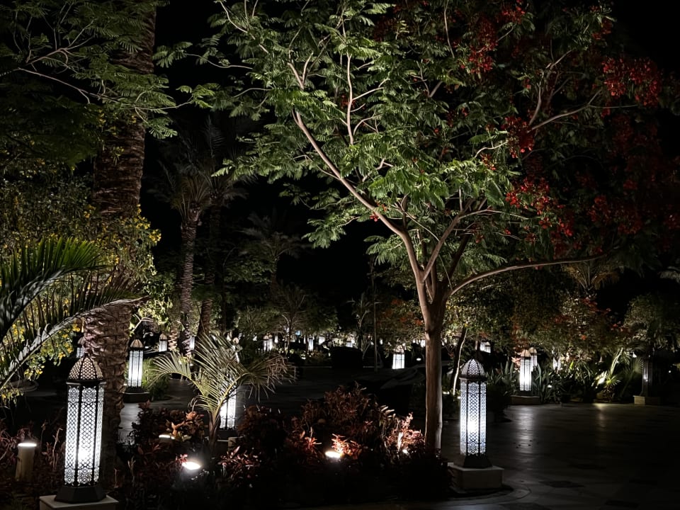 Gartenanlage The Grand Palace - Adults only