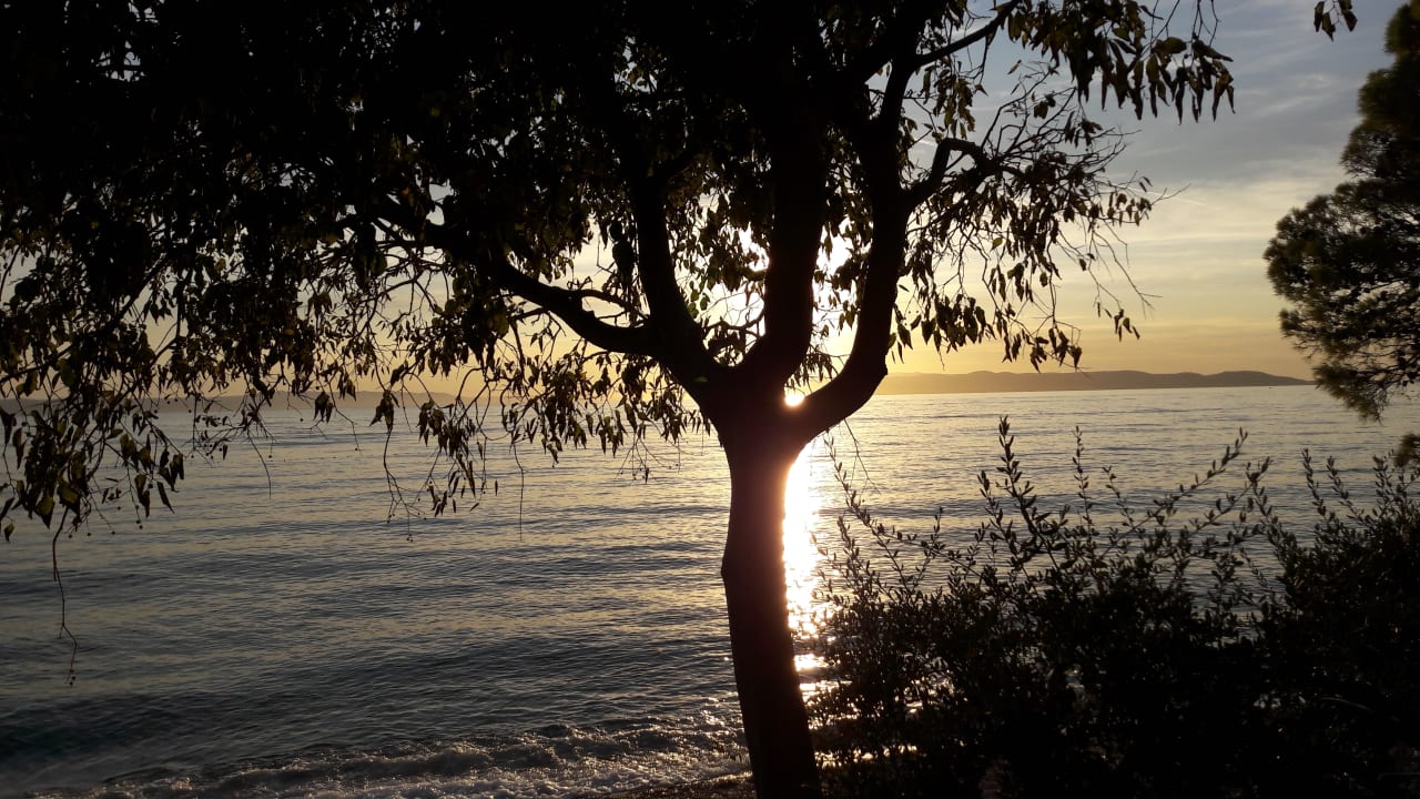 Strand Bluesun Hotel Neptun