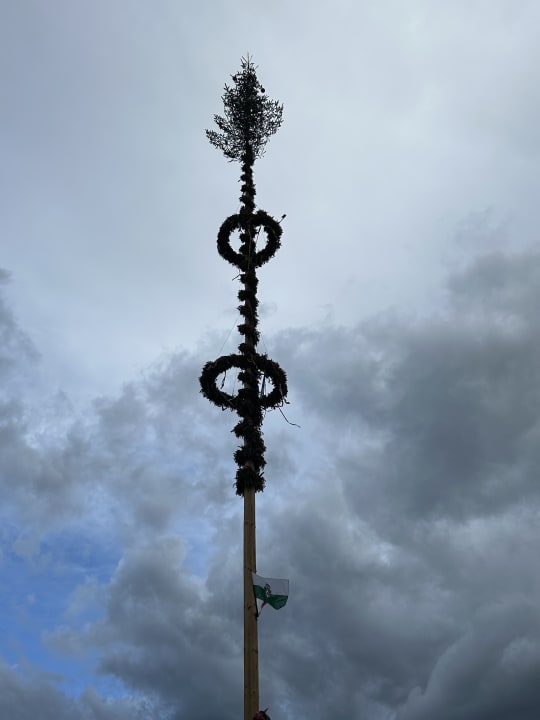 Sonstiges Narzissendorf Zloam - Grundlsee