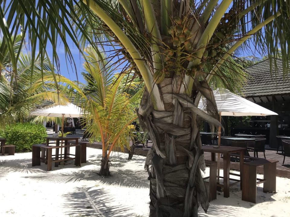 Gastro Adaaran Select Meedhupparu Island Resort - Premium All Inclusive