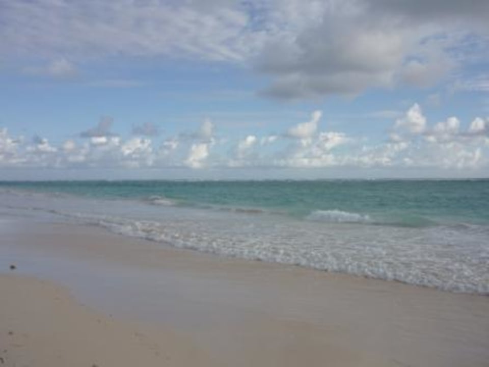 Morgens noch schön leer Hotel Riu Palace Punta Cana