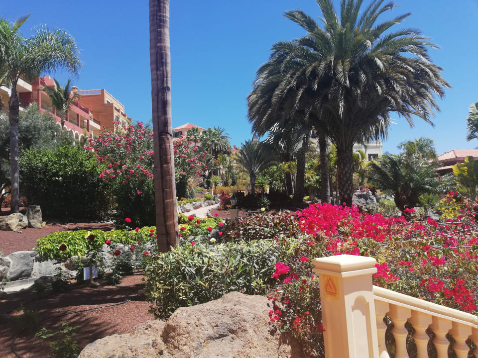 Gartenanlage Bahia Principe Sunlight Costa Adeje