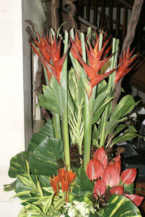 Deko im Restaurant Puri Santrian