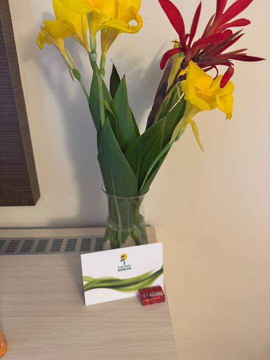 Zimmer Club Sidelya Hotel