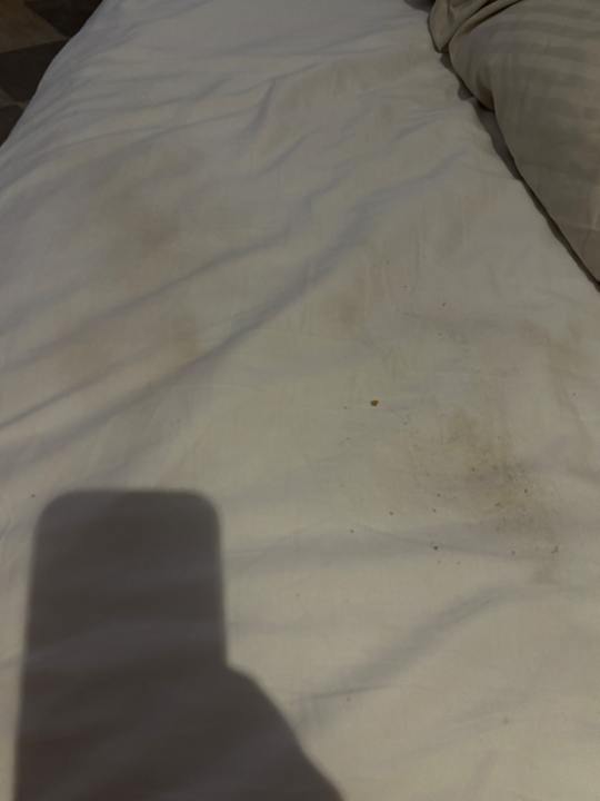 Zimmer The Grand Palace - Adults only