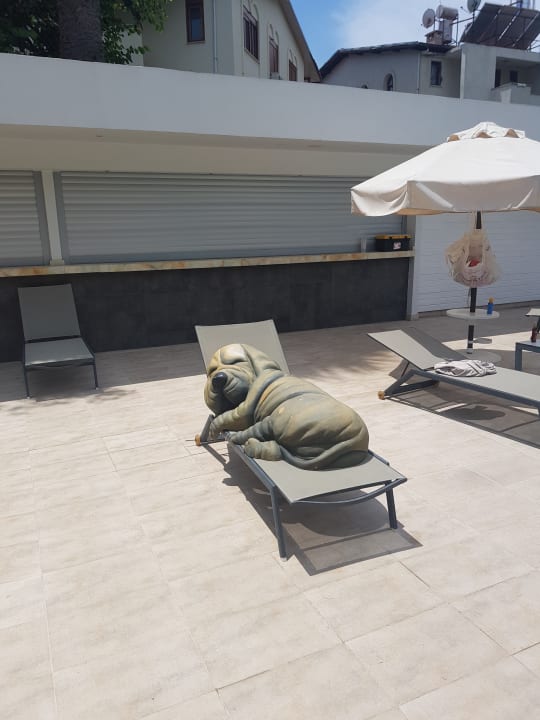 Sonstiges Side Star Elegance