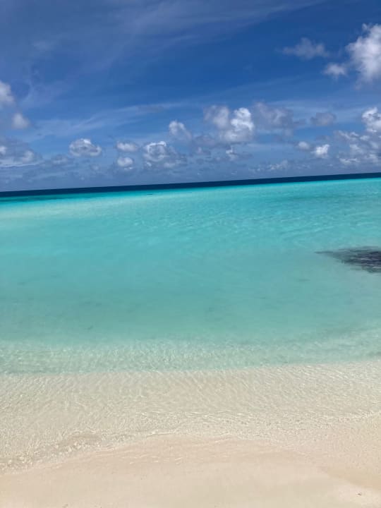 Strand Summer Island Maldives