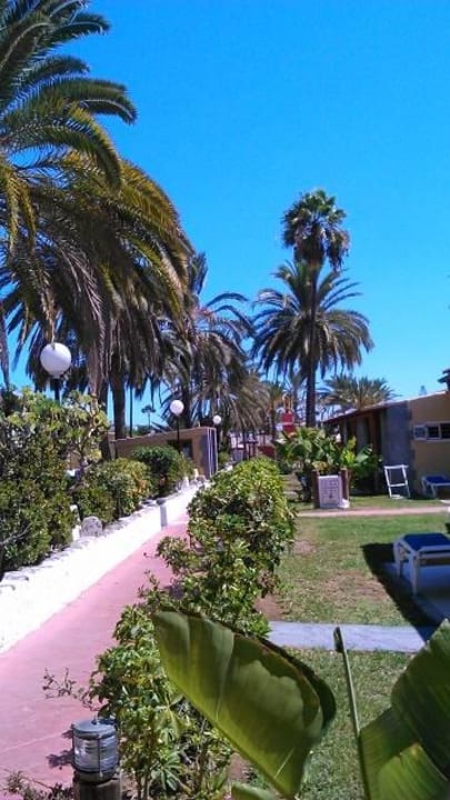 Weg zum Pool HL Miraflor Suites Hotel