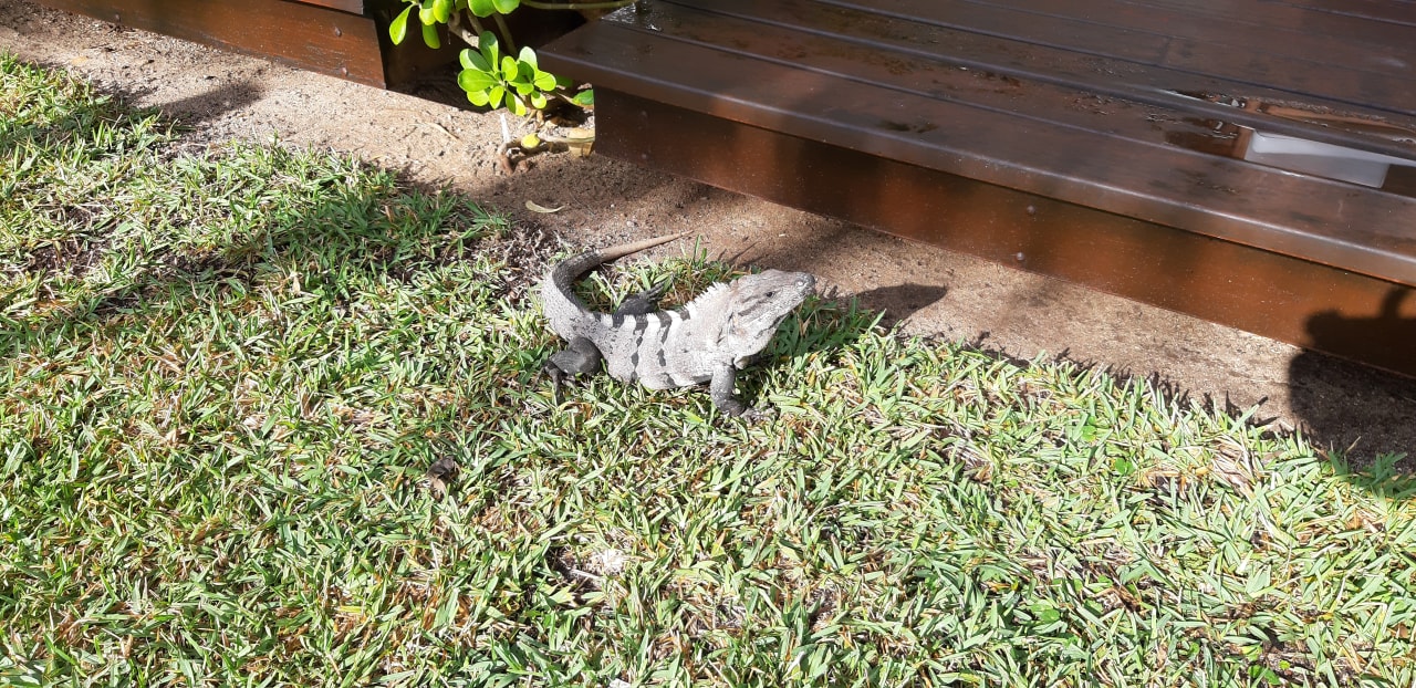 Sonstiges Akumal Bay Beach & Wellness Resort