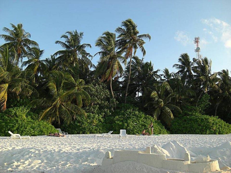Strand und Palmen Fihalhohi Maldives
