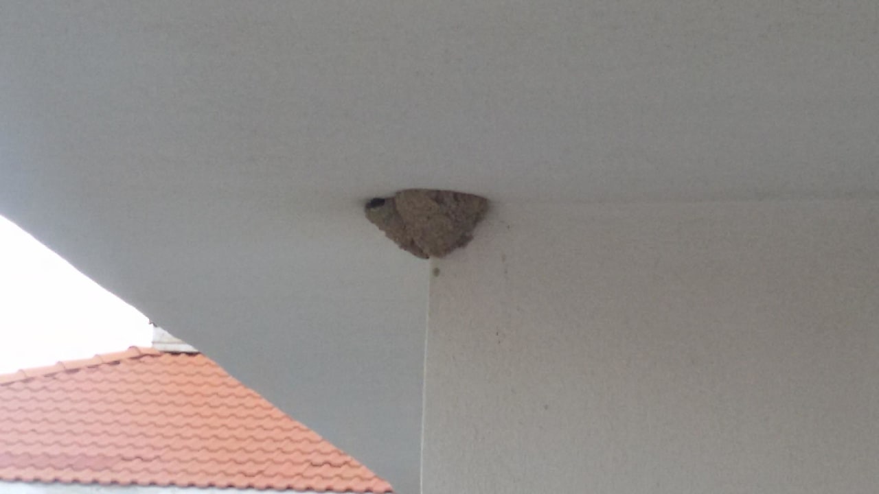 Balkon  Seaden Sea World Resort & Spa