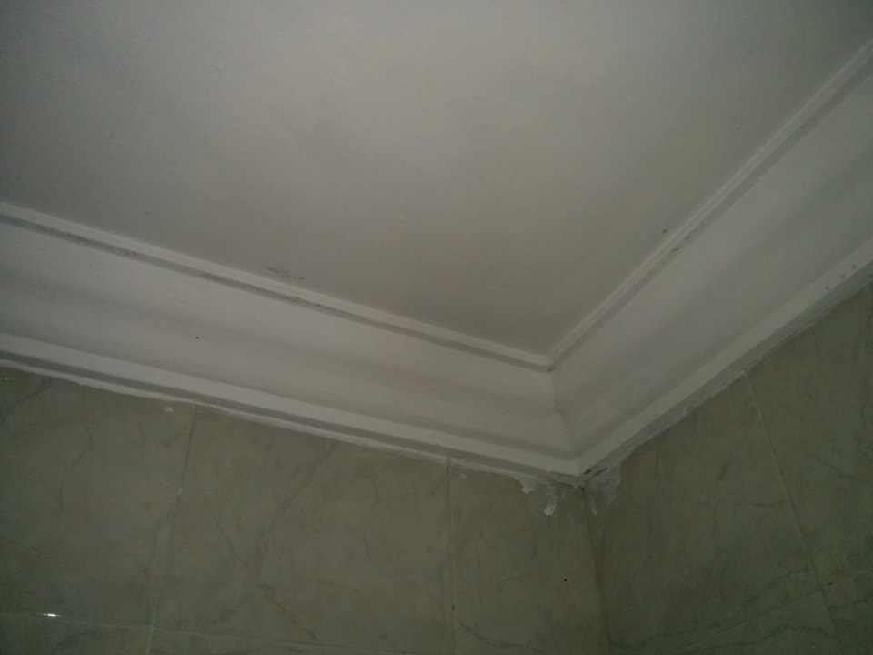 Schimmel im Zimmer Hotel Riu Palace Punta Cana