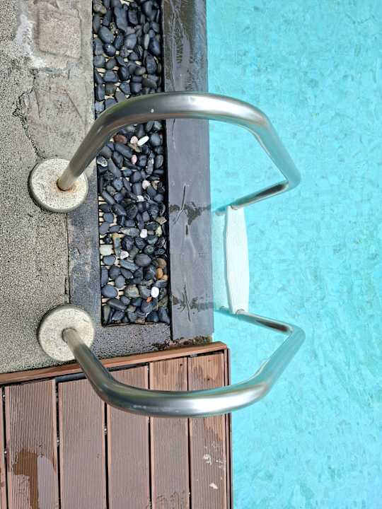 Pool Altera Hotel and Residence