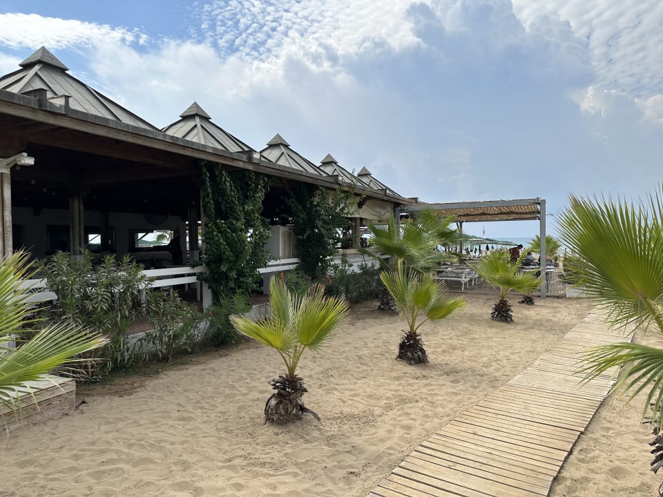 Strand Paloma Oceana